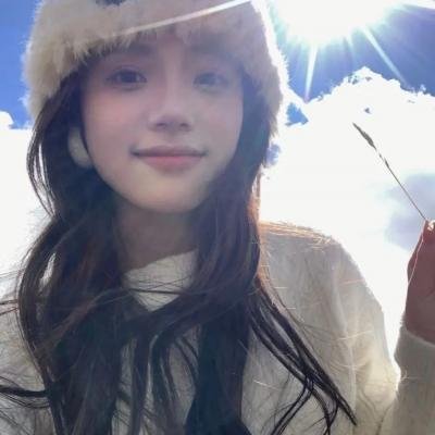 终结杉计划 海报
