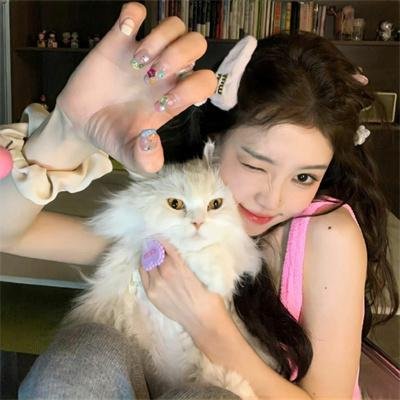 爱在猫咪疗愈时 海报
