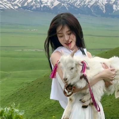 为亲爱的我致上杀意 海报