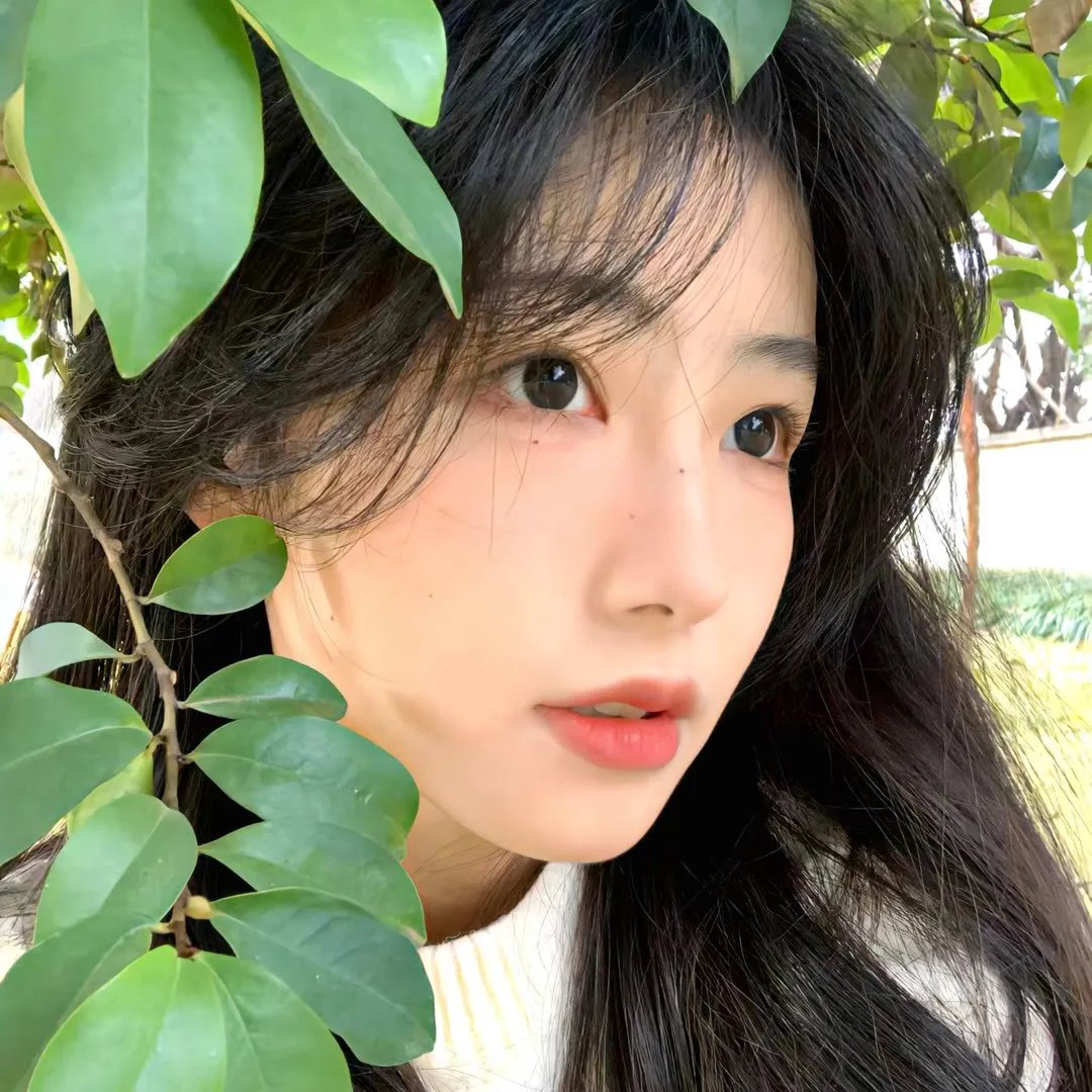 翼·年代记第一季 海报